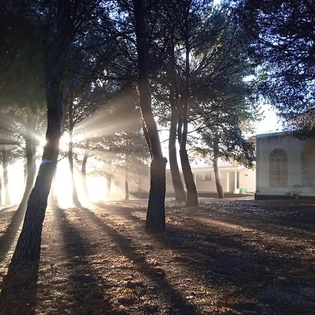 Bungalows Zaragoza Camping Campsite Zaragoza