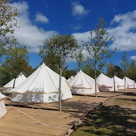 Bungalows Zaragoza Camping Camping Zaragoza