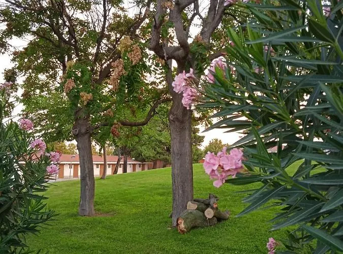 אתר קמפינג Bungalows Zaragoza Camping *