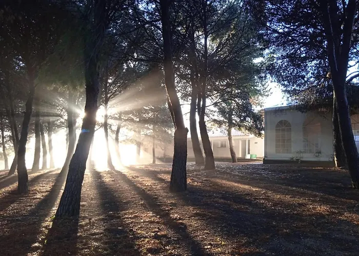 Bungalows Zaragoza Camping Parque de Campismo Saragoça